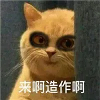 mc vs chelsea kèo Sun Haiyang đã ngay lập tức báo cảnh sát